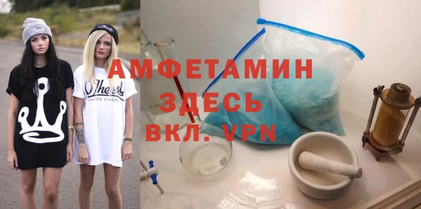 амф Горняк