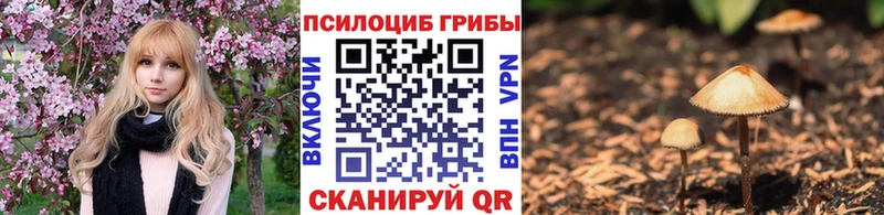 Галлюциногенные грибы мицелий Купить Гаврилов Посад